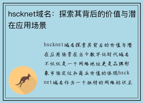 hscknet域名：探索其背后的价值与潜在应用场景